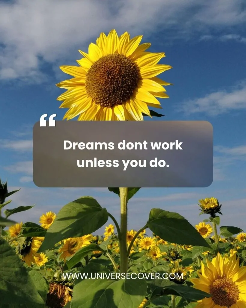 Dreams dont work unless you do