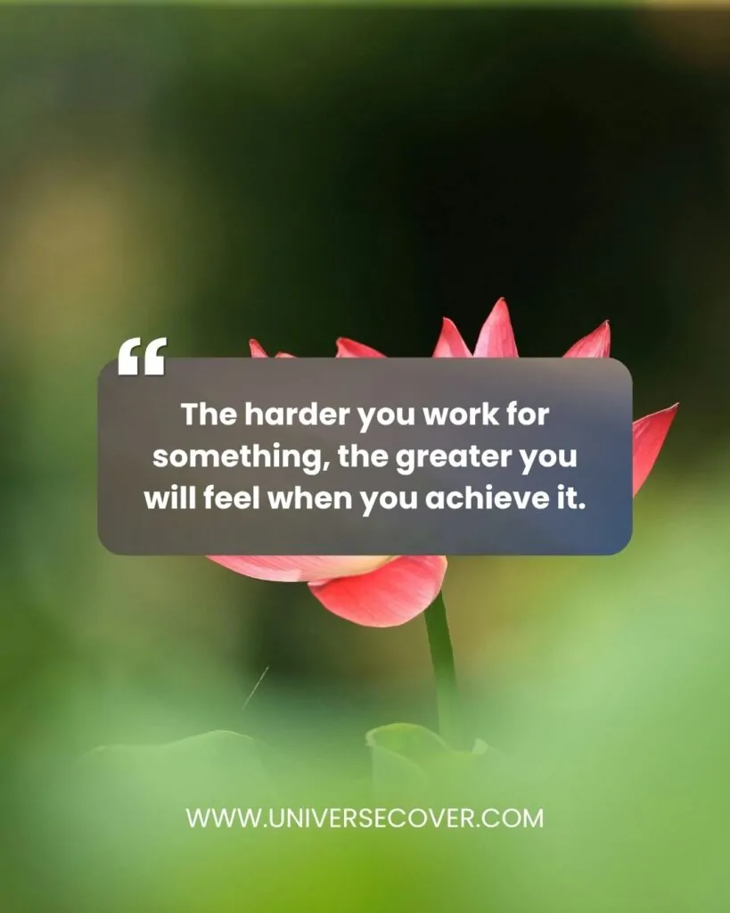 The harder you work for something, the greater you will feel when you achieve it.