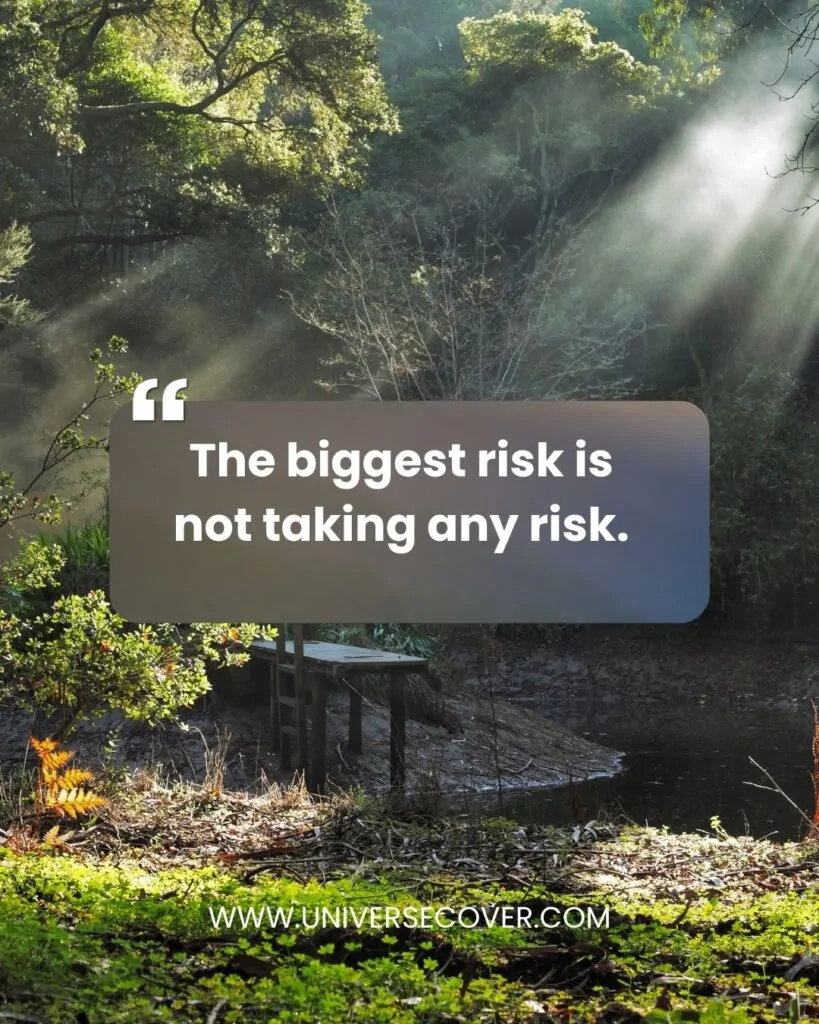 The biggest risk is not taking any risk.