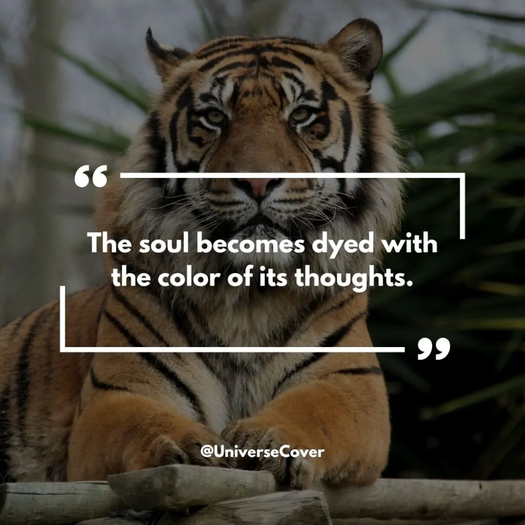 The soul becomes dyed with the color of its thoughts." - Marcus Aurelius