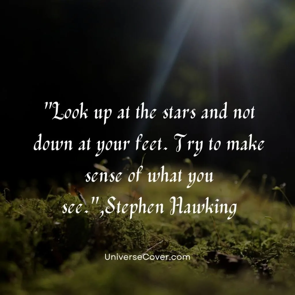 Look up at the stars and not down at your feet. Try to make sense of what you see." - Stephen Hawking