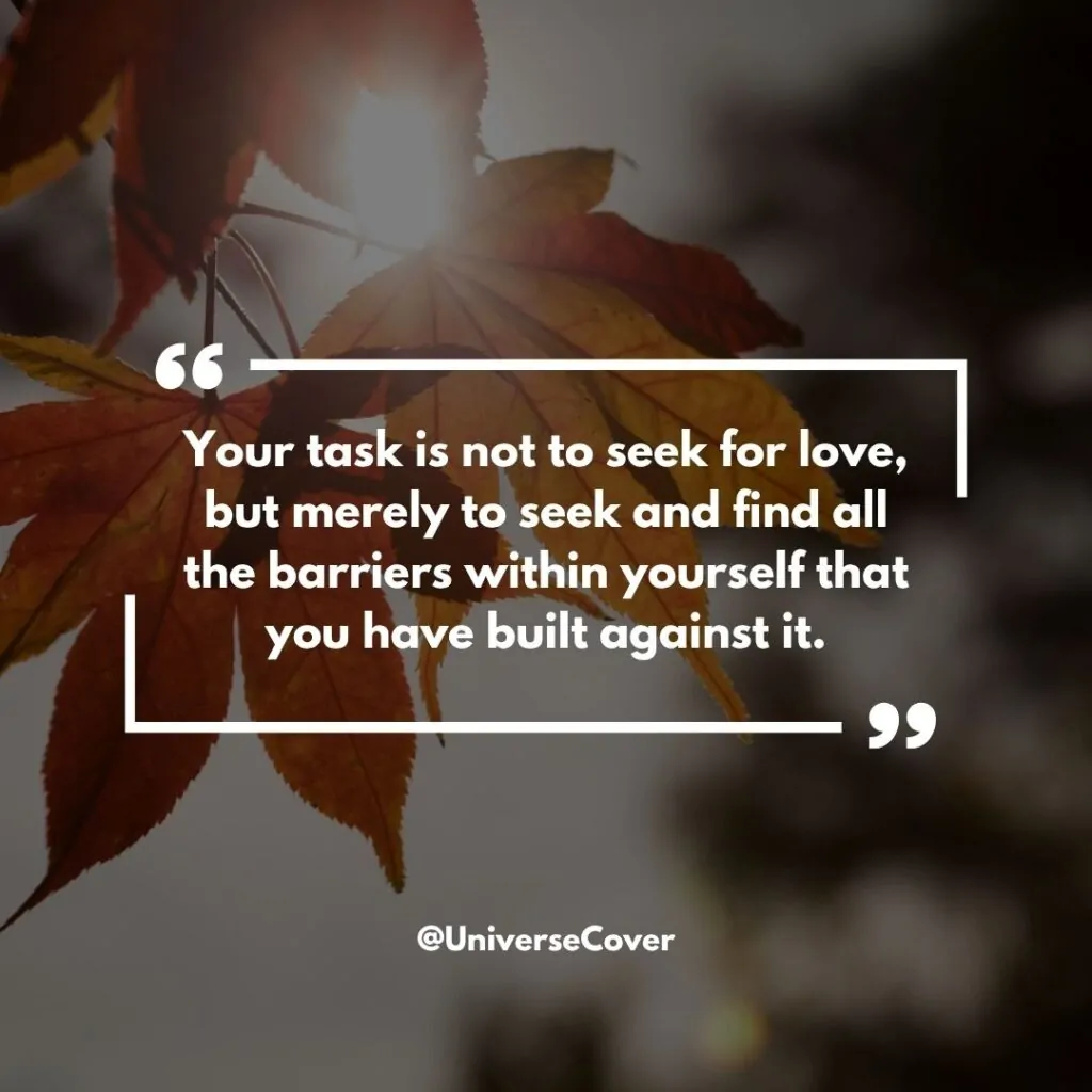 "Your task is not to seek for love, but merely to seek and find all the barriers within yourself that you have built against it."