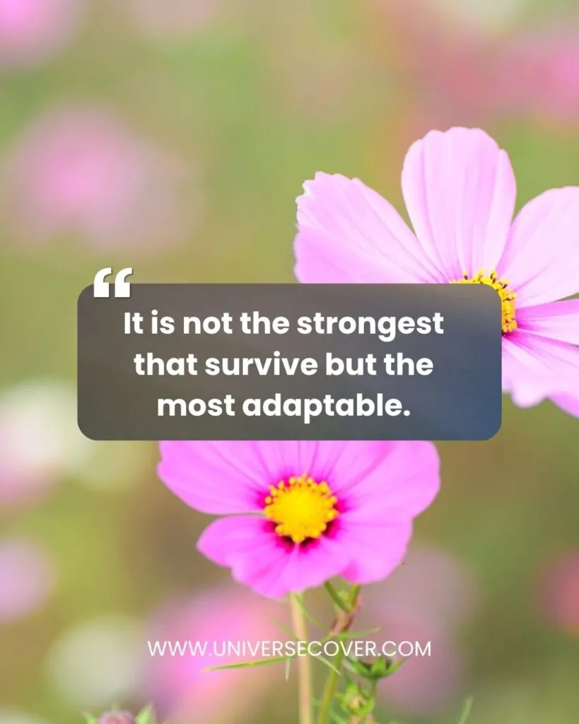 It is not the strongest that survive but the most adaptable.