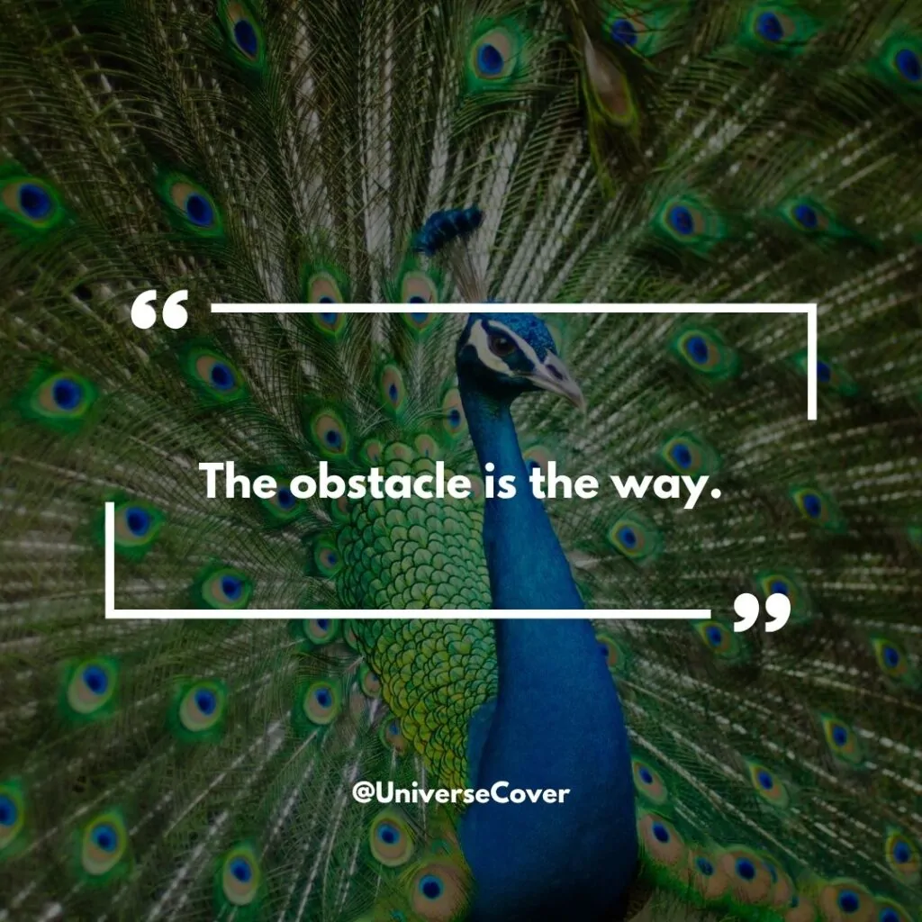 "The obstacle is the way."