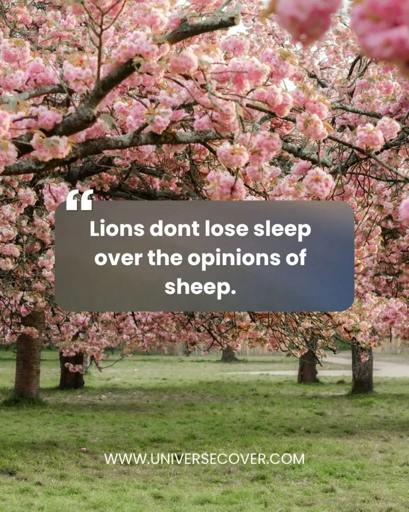 Lions dont lose sleep over the opinions of sheep.
