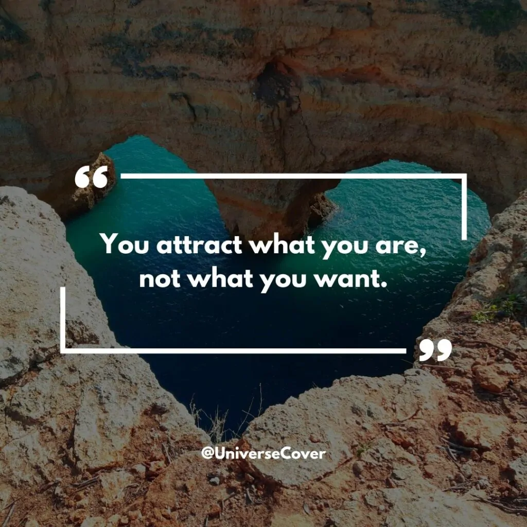  "You attract what you are, not what you want."