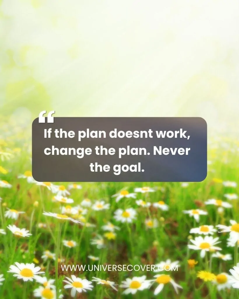 If the plan doesnt work, change the plan. Never the goal.