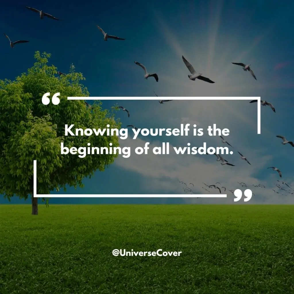 "Knowing yourself is the beginning of all wisdom." - Aristotle