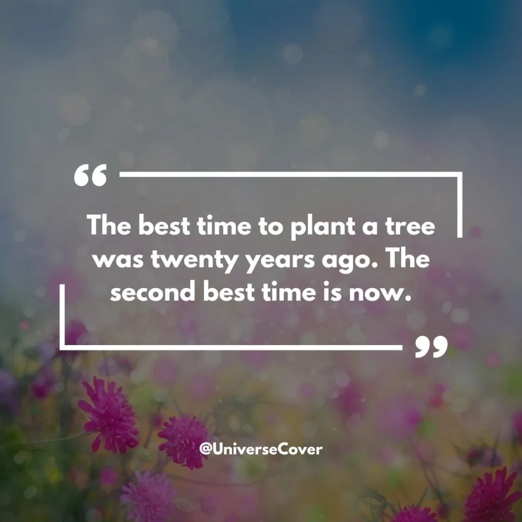 "The best time to plant a tree was twenty years ago. The second best time is now."