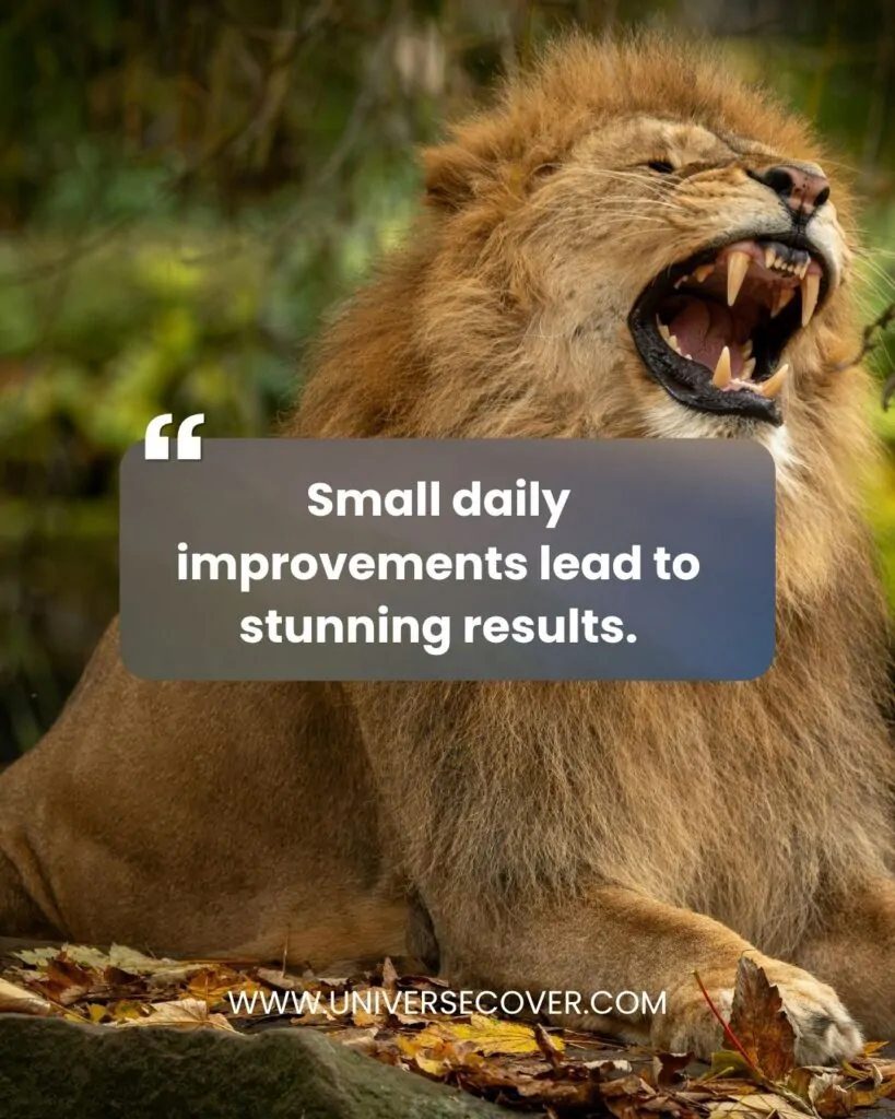 Small daily improvements lead to stunning results.