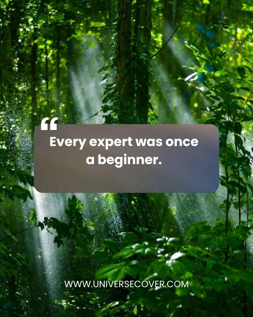 Every expert was once a beginner.