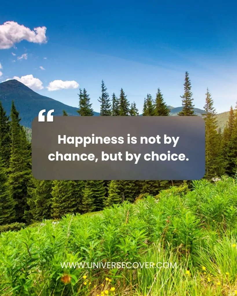 Happiness is not by chance, but by choice.