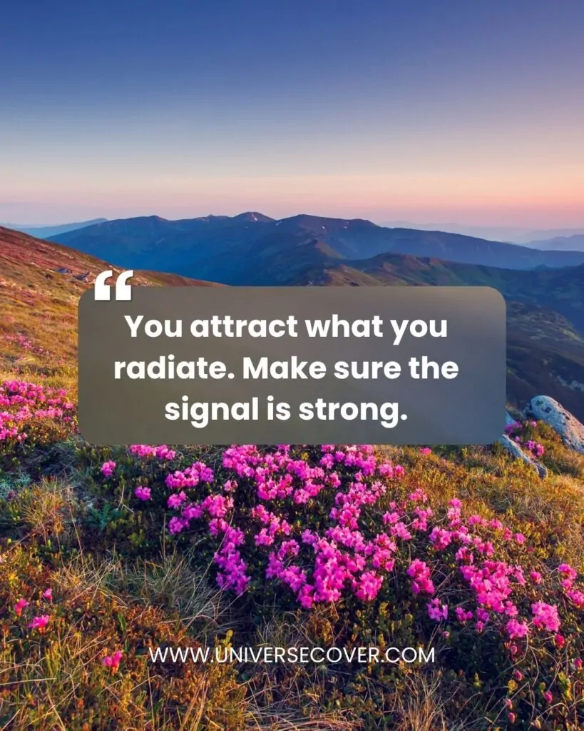 You attract what you radiate. Make sure the signal is strong.