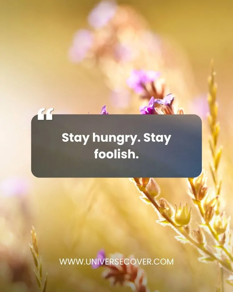 Stay hungry. Stay foolish.