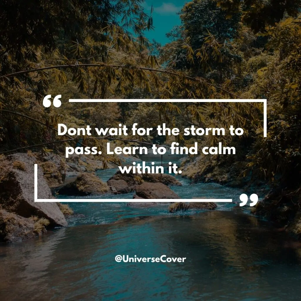 Dont wait for the storm to pass. Learn to find calm within it.