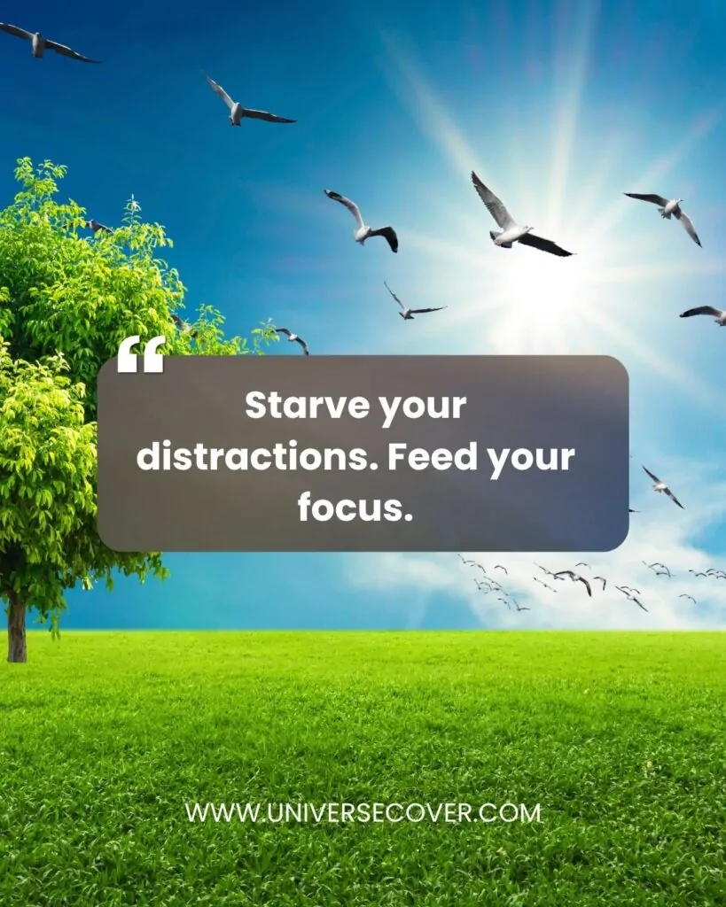 Starve your distractions. Feed your focus.