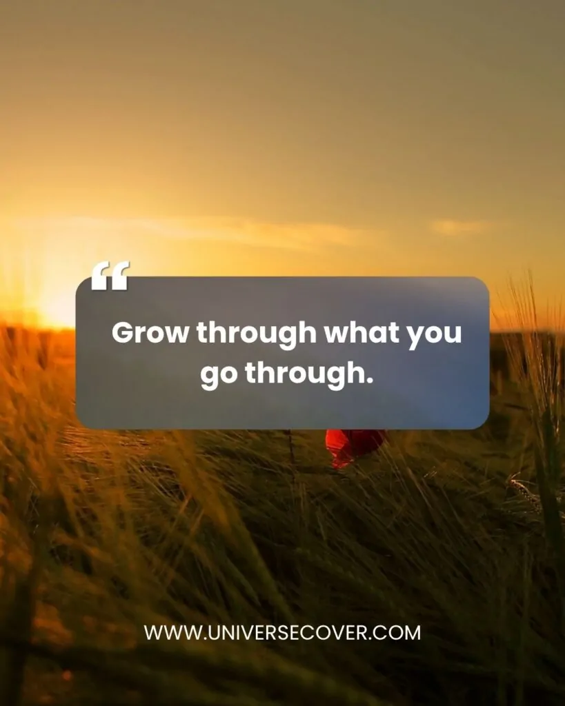 Grow through what you go through."