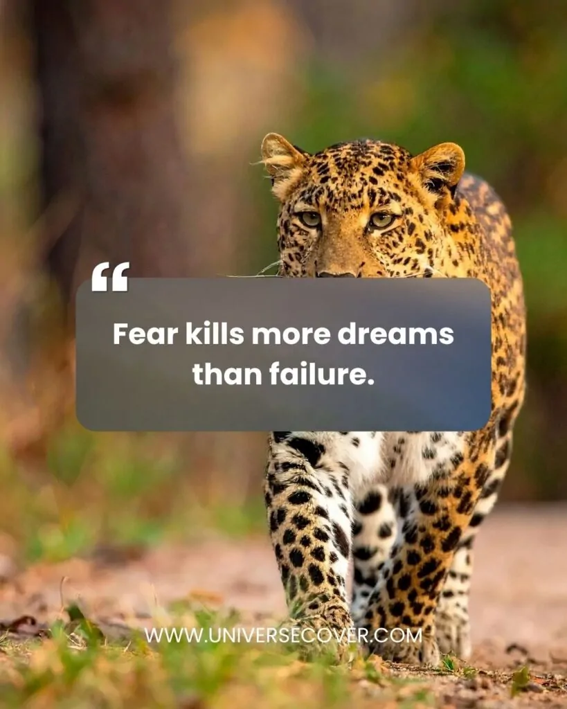 Fear kills more dreams than failure.