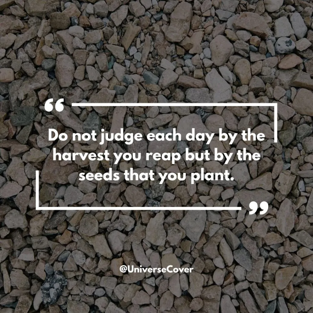 "Do not judge each day by the harvest you reap but by the seeds that you plant."