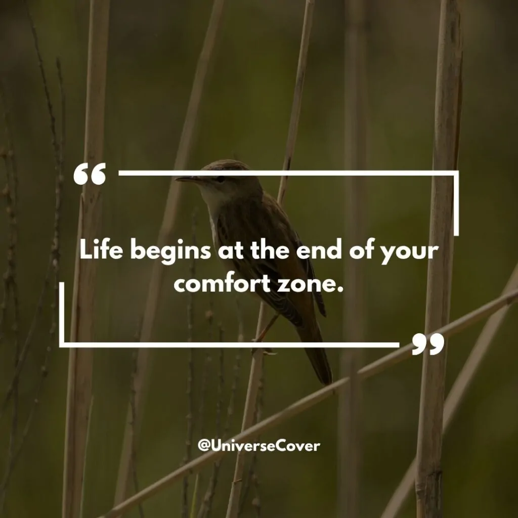 Life begins at the end of your comfort zone.
