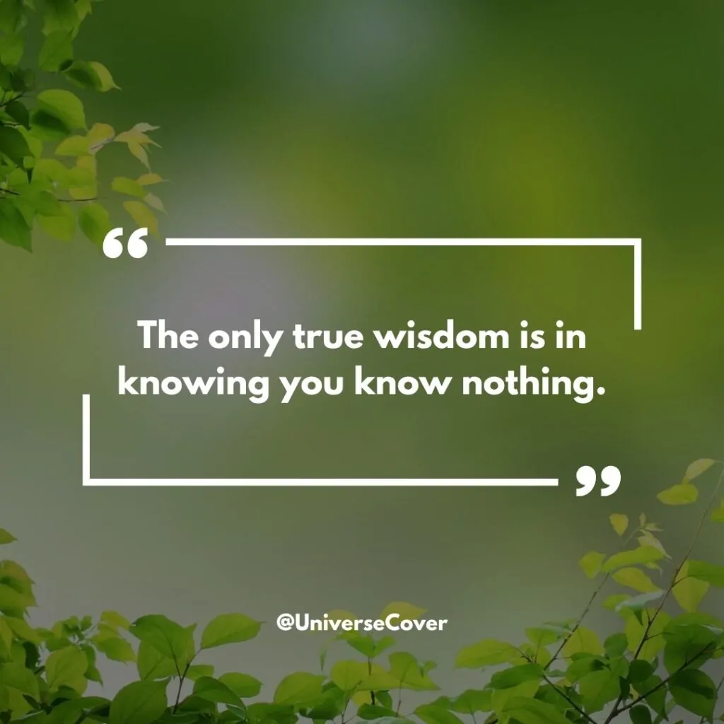 The only true wisdom is in knowing you know nothing." - Socrates