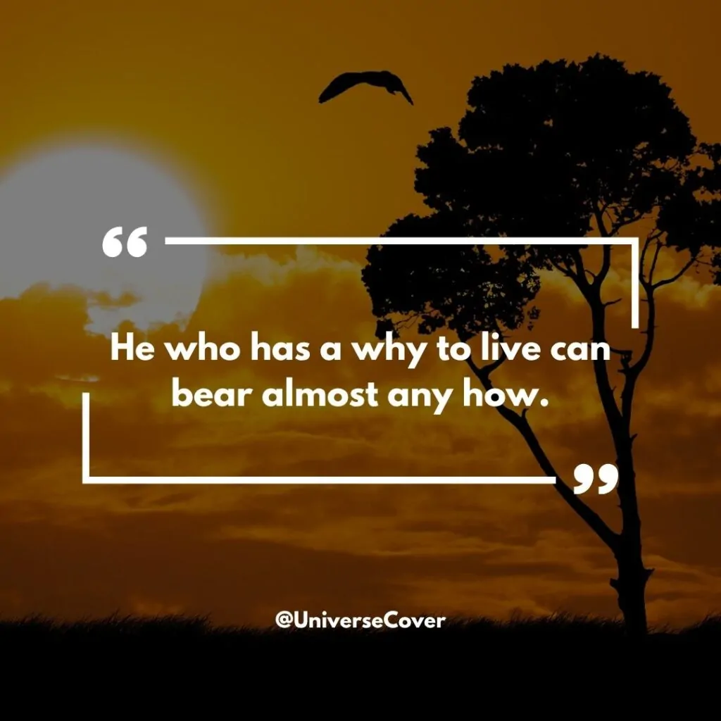 "He who has a why to live can bear almost any how." - Friedrich Nietzsche