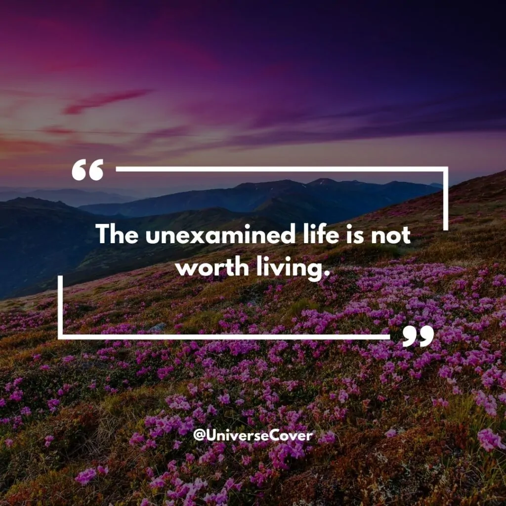 The unexamined life is not worth living." - Socrates