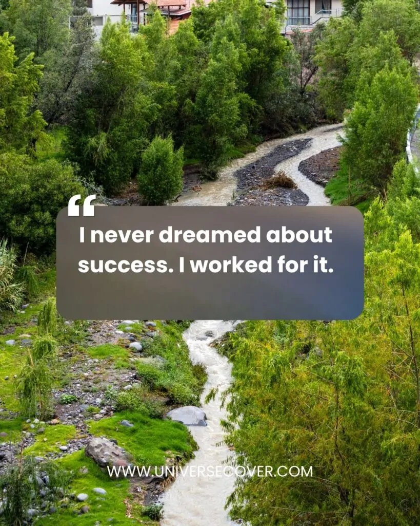 I never dreamed about success. I worked for it
