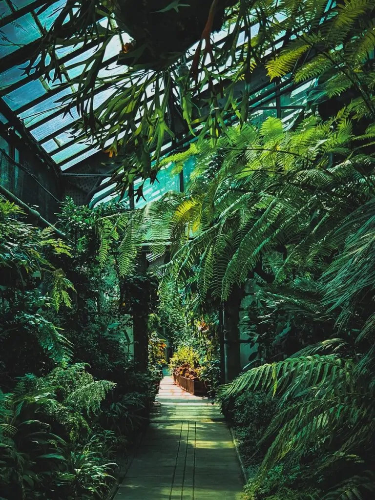 60 Meaningful Things to Do With Your Parents for Every Season and Situation 16 green banana trees and plants