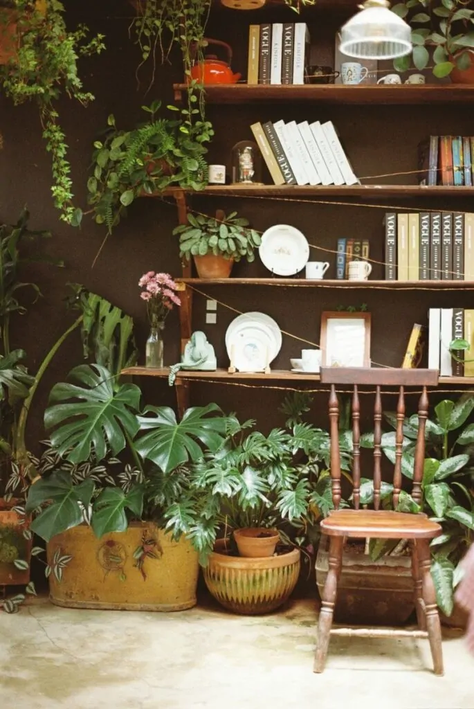 A serene indoor space with bookshelves, a wooden chair, and lush greenery for a tranquil atmosphere.