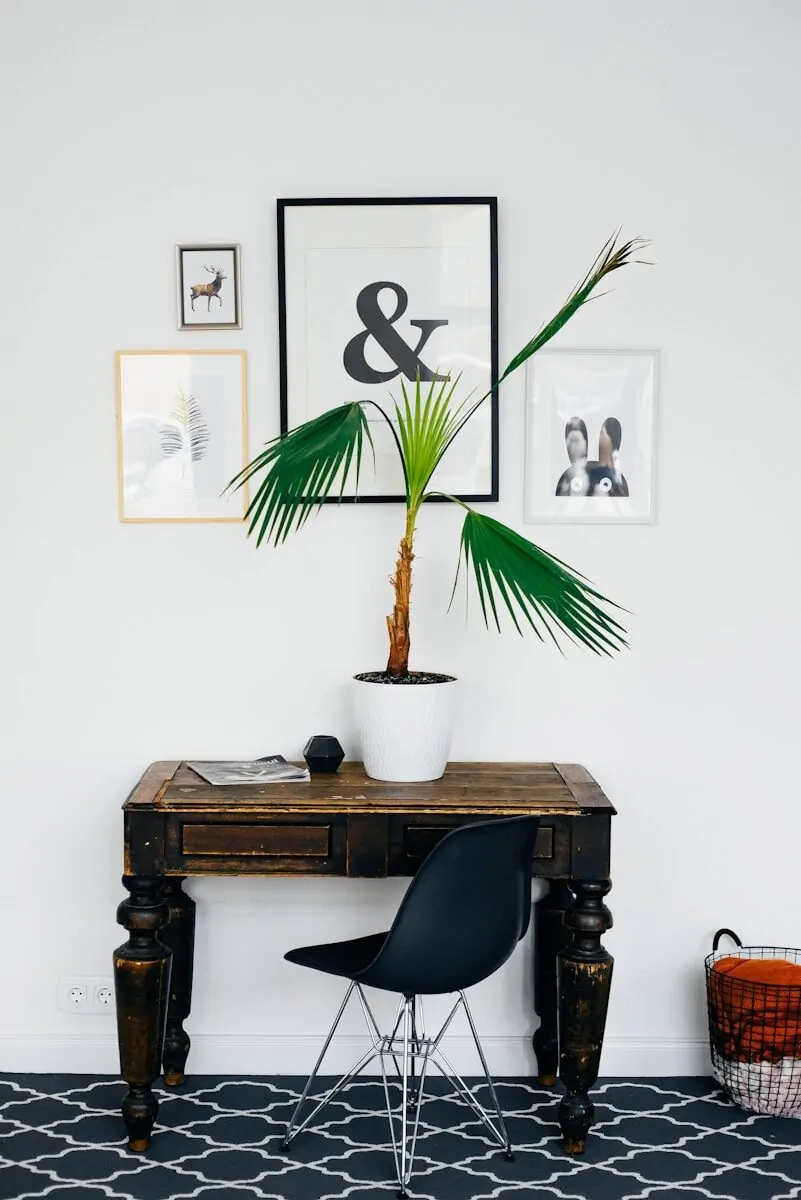 35+ Small Office Ideas for Working From Home 41 green linear leafed plant on white pot