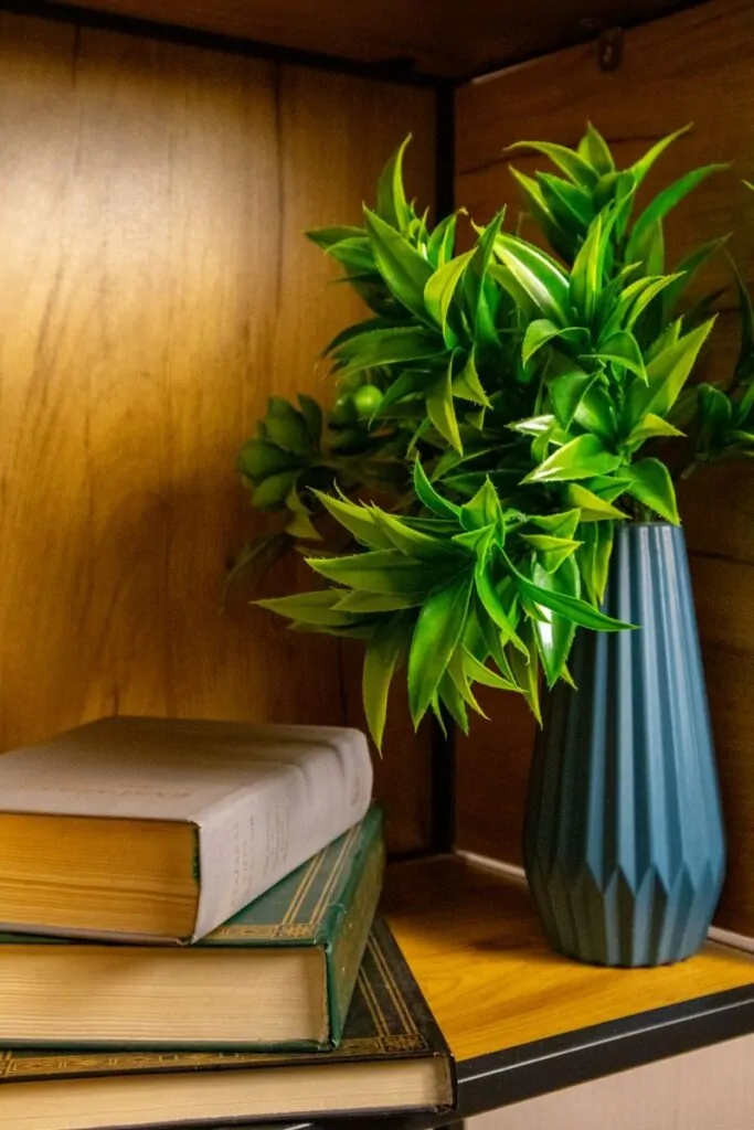 A cozy bookshelf featuring a stack of books and a lush green plant in a blue vase.