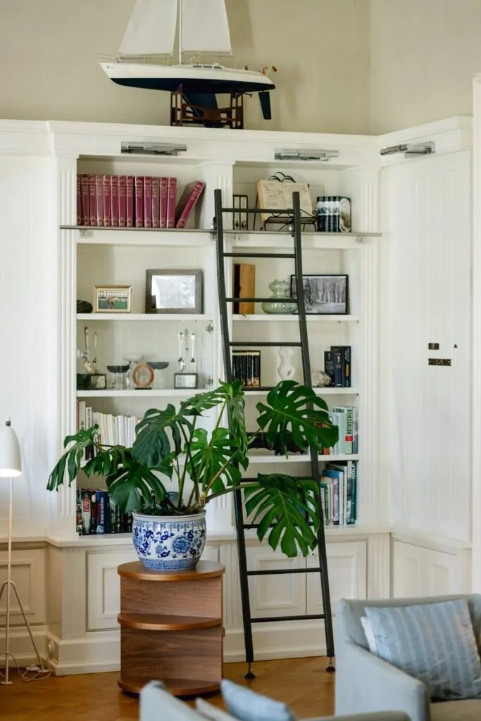 Cozy and chic living room featuring a white bookshelf, ladder, and a Monstera plant, exuding sophistication.