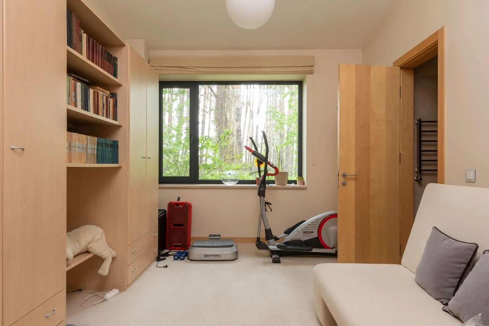 35+ Room Decor Ideas for Small Spaces That Feel Bigger 31 Contemporary apartment with many books and exercycle near wooden door and window in daytime