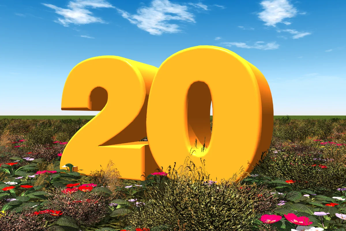Your 20s Are Your Biggest Advantage (Don’t Waste Them)