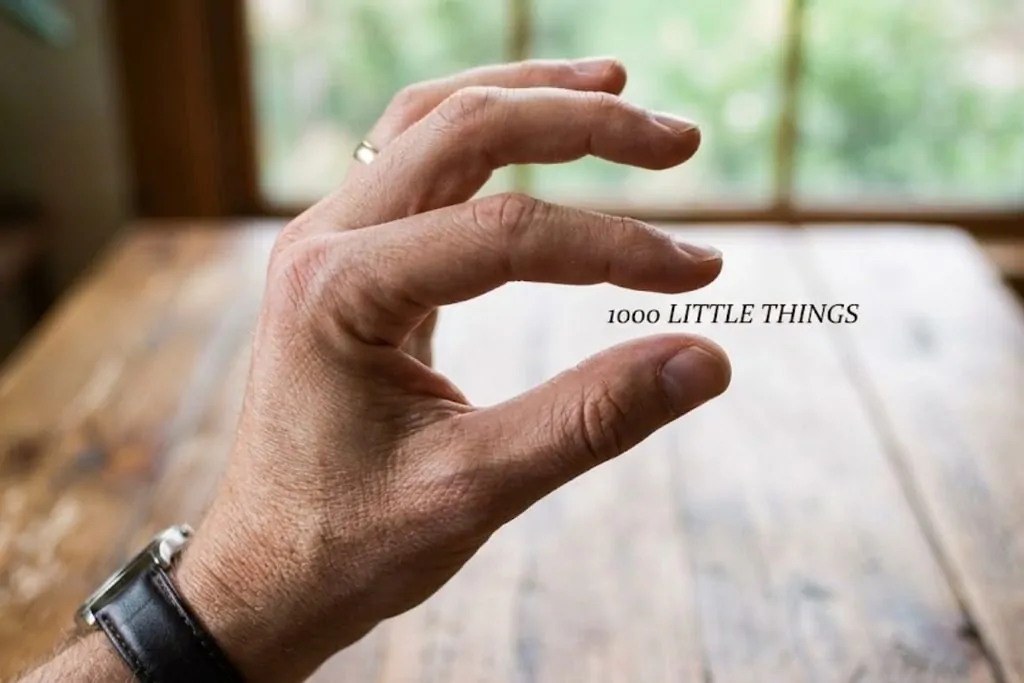 1000 Little Things You’re Taking for Granted Every Day (And Will Miss When They’re Gone) 1 1000 Little Things
