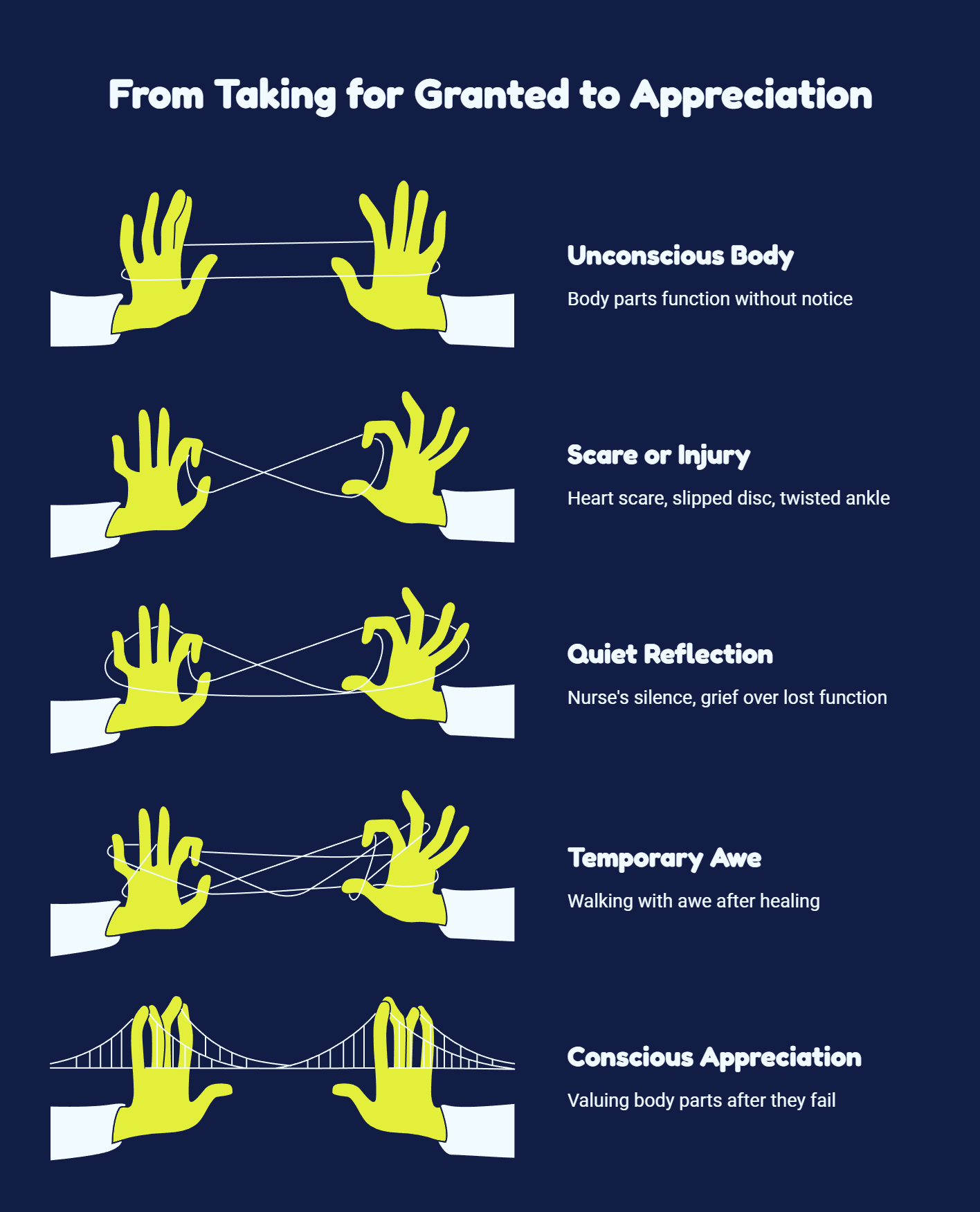 1000 Little Things You’re Taking for Granted Every Day (And Will Miss When They’re Gone) 2 The Body That Works Without Asking - visual selection
