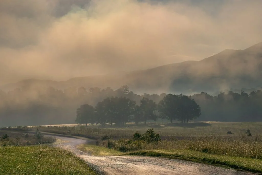 Do I Have Depression Quiz: 10 Honest Questions That Show How You Really Feel Inside, Take It Now 1 Misty morning road through a grassy field and trees