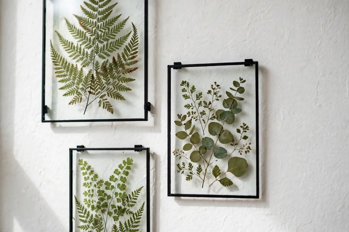 30 DIY Home Decor Projects That Look Store-Bought 29 Pressed green leaves between glass panes in floating frames on a white wall