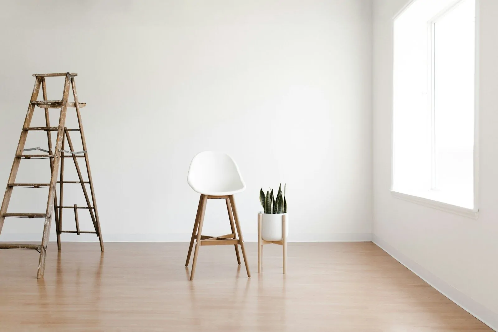 Am I Shy Quiz: Answer 10 Quick Questions and Find Out How Shy You Really Are 1 A wooden ladder, a white bar stool, and a snake plant in a room