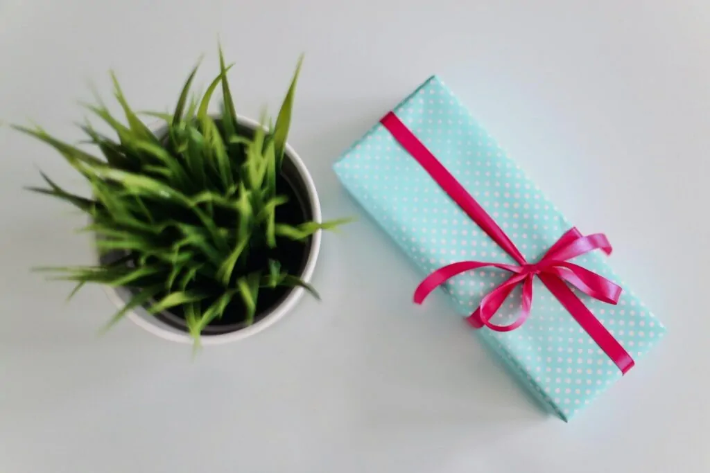Am I Selfish Quiz: Answer 10 Honest Questions and Find Out If You Think of Others Enough 1 white gift box beside green leafed plant