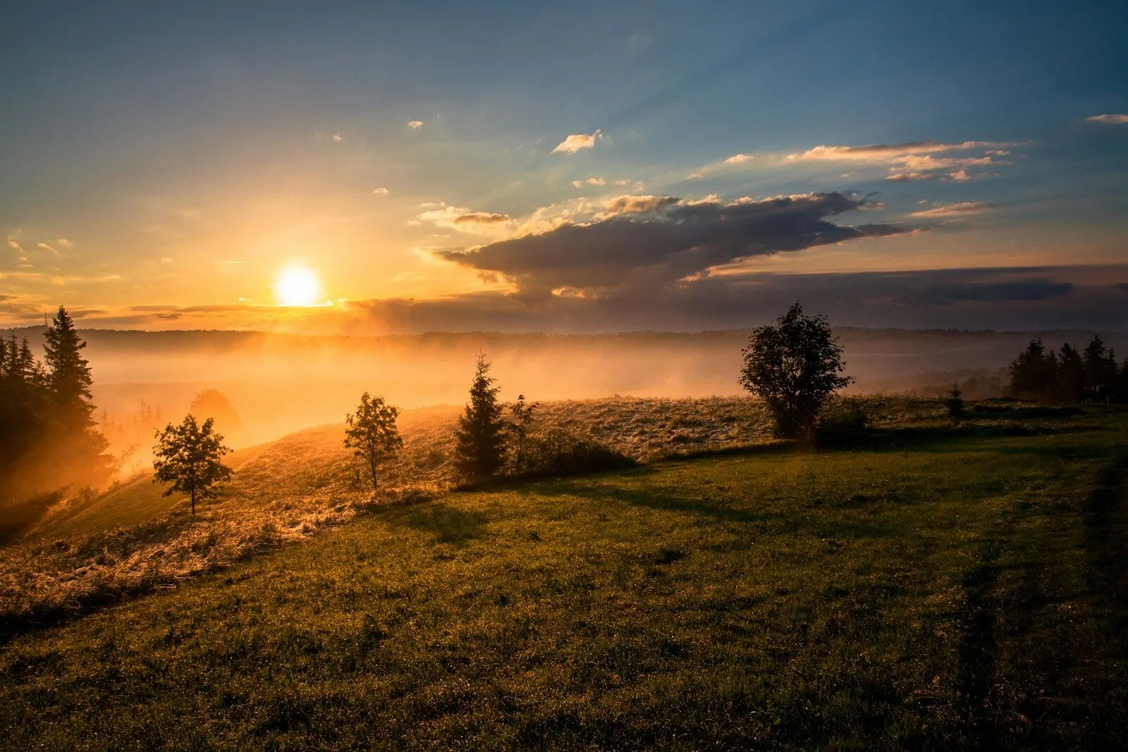 Am I an Optimist Quiz: Answer 10 Fun Questions and Find Out If You See the Glass Half Full 1 Sunrise over a misty field with trees at golden hour