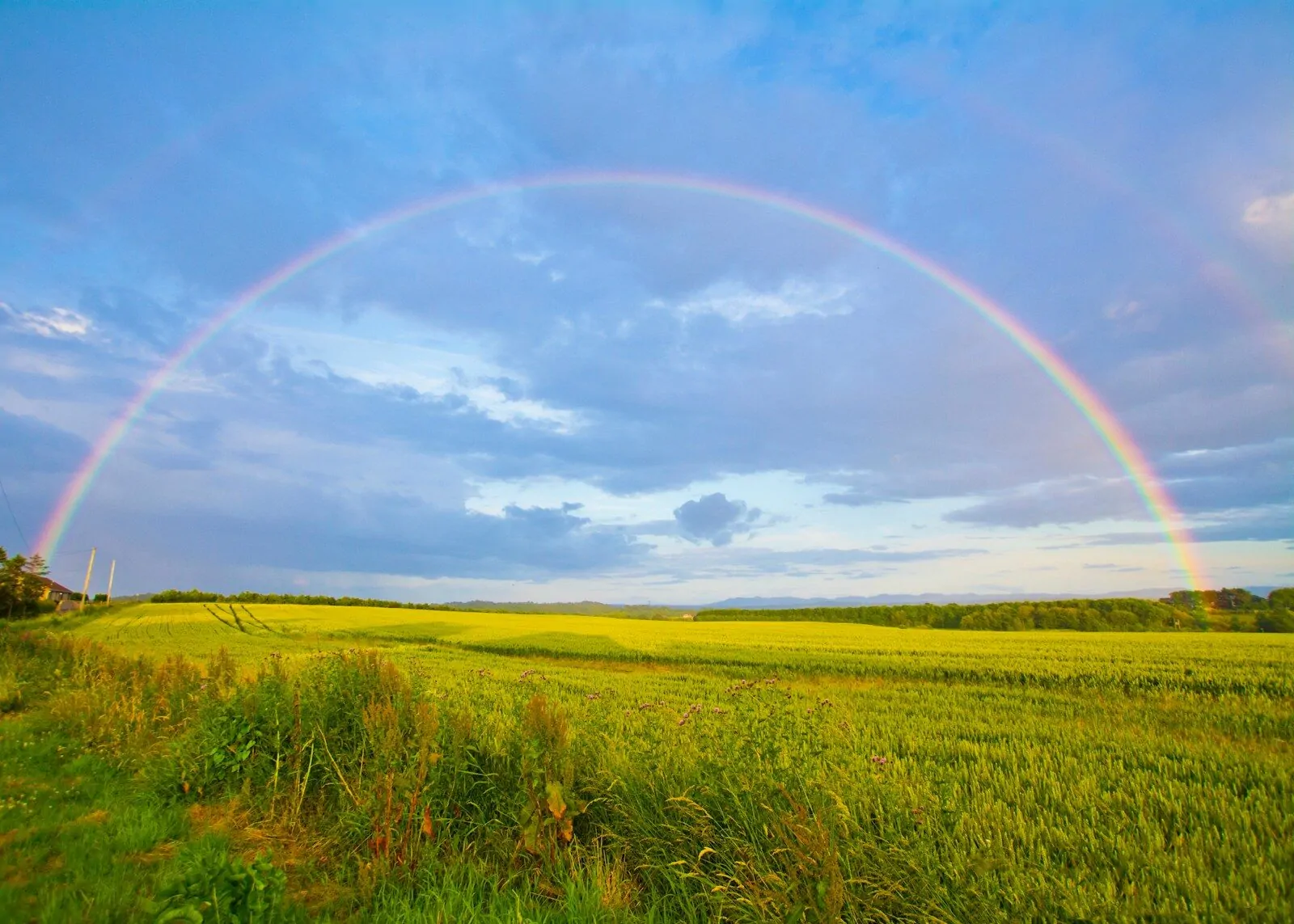 Am I Lucky Quiz: Answer 10 Fun Questions and Find Out If Luck Is Really on Your Side 1 green grass field under white clouds and rainbow